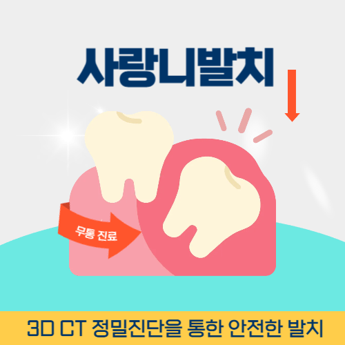 경주치과 경주시 치과 사랑니 발치